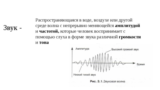 Распространяющаяся в воде, воздухе или другой среде волна с непрерывно меняющейся амплитудой и частотой, которые человек воспринимает с помощью слуха в форме звука различной громкости и тона Звук - 
