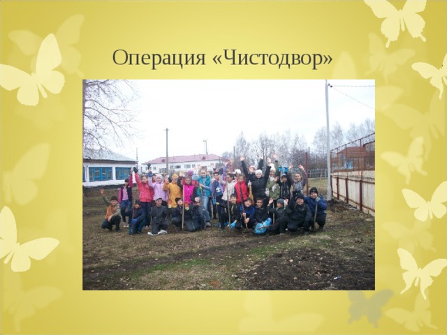 Операция «Чистодвор» 