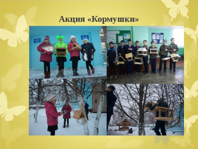Акция «Кормушки» 