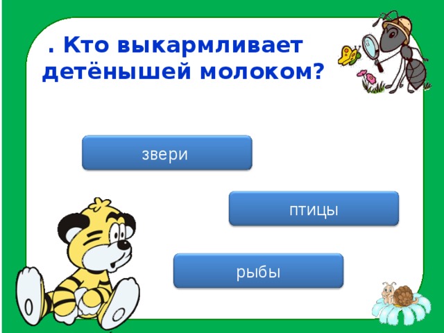 . Кто выкармливает детёнышей молоком? звери птицы рыбы