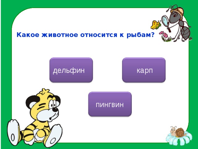Какое животное относится к рыбам?  карп дельфин пингвин
