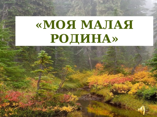 «Моя малая родина»   