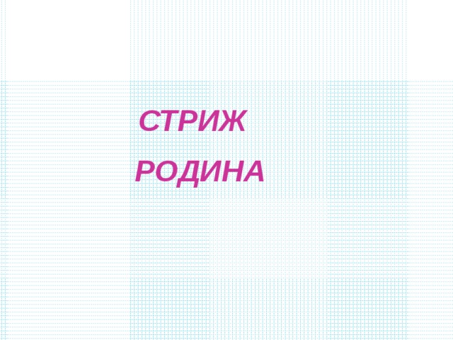 СТРИЖ РОДИНА 