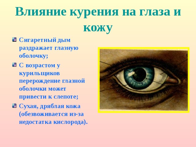 Влияние курения на глаза и кожу Сигаретный дым раздражает глазную оболочку; С возрастом у курильщиков перерождение глазной оболочки может привести к слепоте; Сухая, дряблая кожа (обезвоживается из-за недостатка кислорода). 