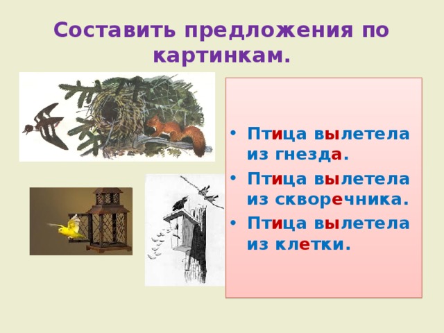 Составить предложения по картинкам. Пт и ца в ы летела из гнезд а . Пт и ца в ы летела из сквор е чника. Пт и ца в ы летела из кл е тки. 