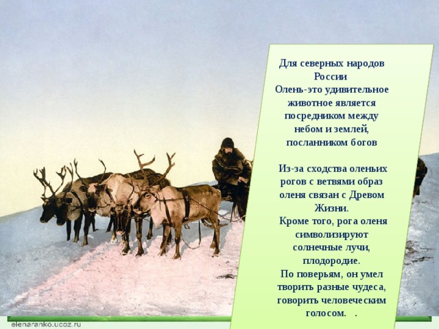 Для северных народов России Олень-это удивительное животное является посредником между небом и землей, посланником богов  Из-за сходства оленьих рогов с ветвями образ оленя связан с Древом Жизни.  Кроме того, рога оленя символизируют солнечные лучи, плодородие. По поверьям, он умел творить разные чудеса, говорить человеческим голосом .  . 