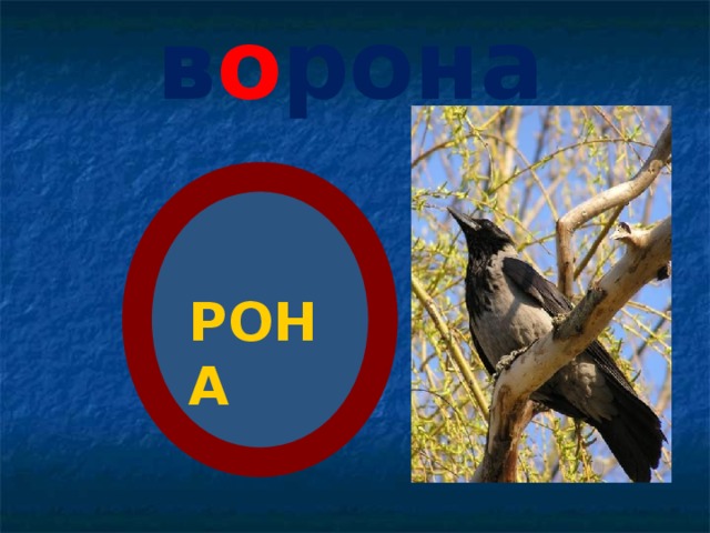 в о рона РОНА 