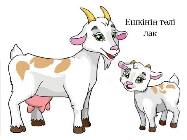 Ешкінің төлі лақ 