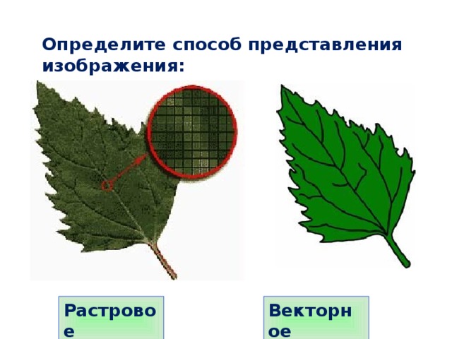 Определите способ представления изображения: Растровое Векторное 