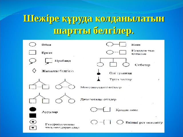 Шежіре құруда қолданылатын шартты белгілер. 