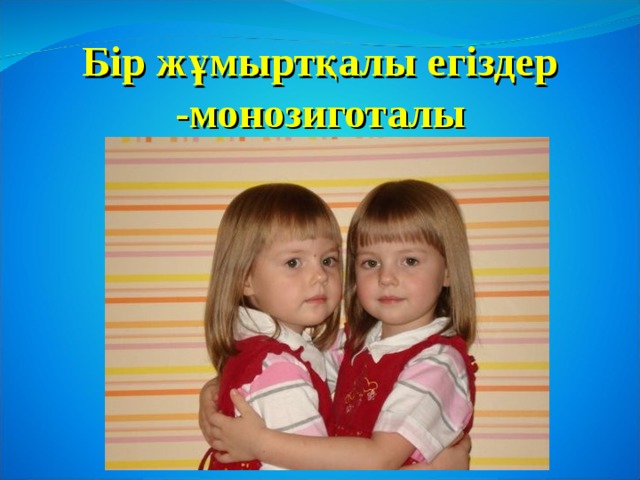 Бір жұмыртқалы егіздер -монозиготалы 