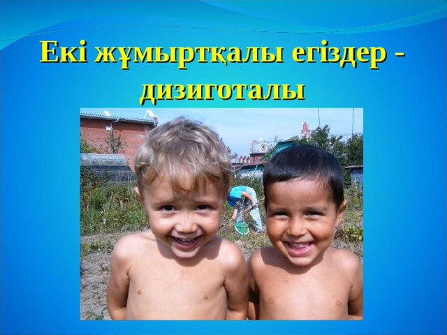 Екі жұмыртқалы егіздер - дизиготалы 