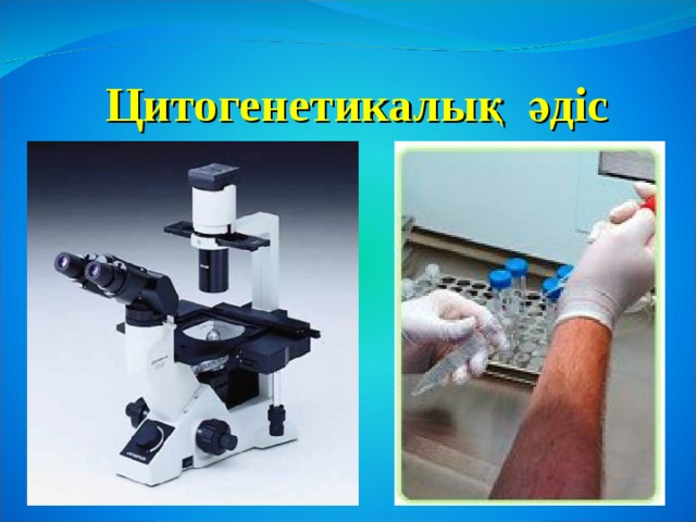 Цитогенетикалық әдіс 