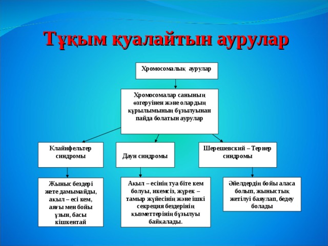 Тұқым қуалайтын аурулар Хромосомалық аурулар Хромосомалар санының өзгеруінен және олардың құрылымының бұзылуынан пайда болатын аурулар  Даун синдромы Шерешевский – Тернер  синдромы Клайнфельтер синдромы Әйелдердің бойы аласа болып, жыныстық жетілуі баяулап, бедеу болады Ақыл – есінің туа біте кем болуы, икемсіз, жүрек – тамыр жүйесінің және ішкі секреция бездерінің қызметтерінің бұзылуы байқалады.    Жыныс бездері жете дамымайды, ақыл – есі кем, аяғы мен бойы ұзын, басы кішкентай 
