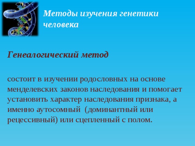 Методы изучения генетики человека Генеалогический метод состоит в изучении родословных на основе менделевских законов наследования и пoмoгaeт установить характер наследования признака, а именно аутосомный (доминантный или рецессивный) или сцепленный с полом.