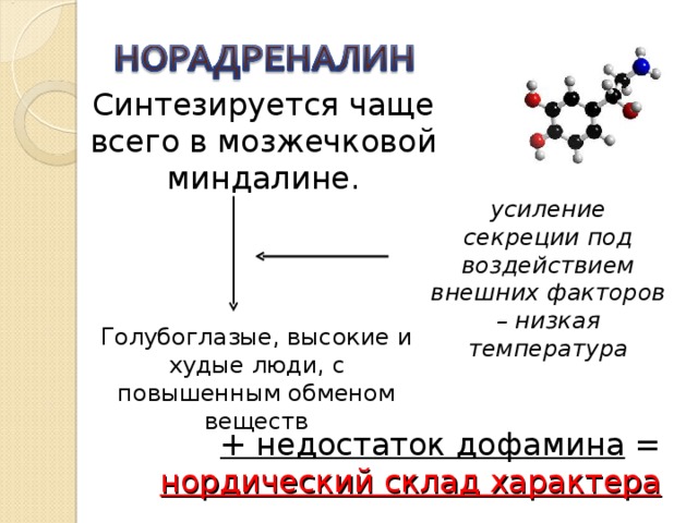 Синтезируется чаще всего в мозжечковой миндалине. усиление секреции под воздействием внешних факторов – низкая температура Голубоглазые, высокие и худые люди, с повышенным обменом веществ + недостаток дофамина = нордический склад характера