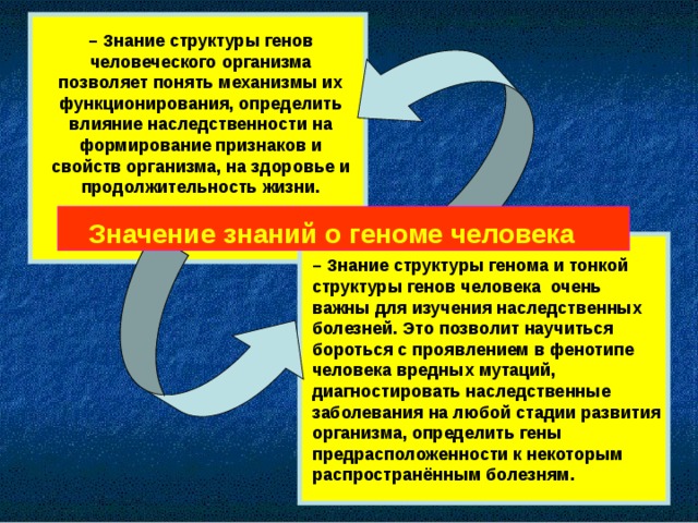 – Знание структуры генов человеческого организма позволяет понять механизмы их функционирования, определить влияние наследственности на формирование признаков и свойств организма, на здоровье и продолжительность жизни.  Значение знаний о геноме человека  – Знание структуры генома и тонкой структуры генов человека очень важны для изучения наследственных болезней. Это позволит научиться бороться с проявлением в фенотипе человека вредных мутаций, диагностировать наследственные заболевания на любой стадии развития организма, определить гены предрасположенности к некоторым распространённым болезням.