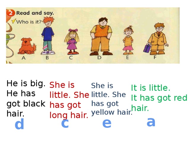 He is big. He has got black hair. She is little. She has got long hair. She is little. She has got yellow hair. It is little. It has got red hair. a c e d 