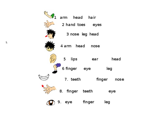  1 arm  head  hair 2 hand  toes eyes  3 nose  leg  head 5.  4 arm  head  nose  5 lips ear head   6 finger  eye leg   7. teeth finger nose  8. finger teeth eye   9. eye  finger  leg  