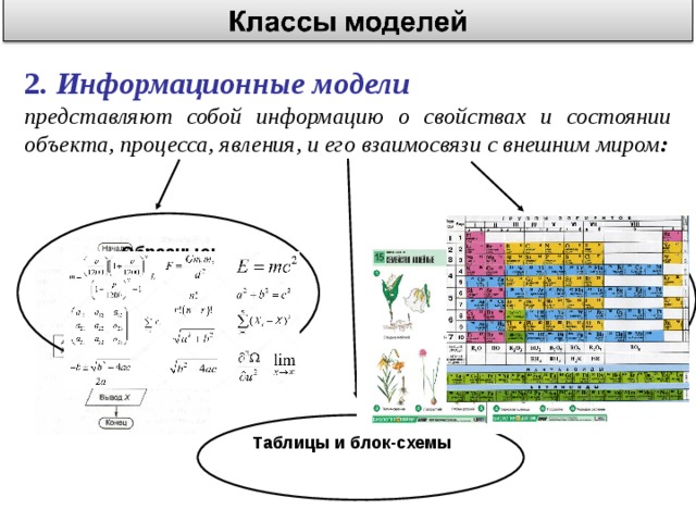 2. Информационные модели представляют собой информацию о свойствах и состоянии объекта, процесса, явления, и его взаимосвязи с внешним миром : Образные: Зрительные образы объектов, зафиксированные на каком-либо носителе информации Знаковые: Строятся с использованием различных знаковых систем Таблицы и блок-схемы 