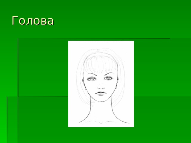 Голова 