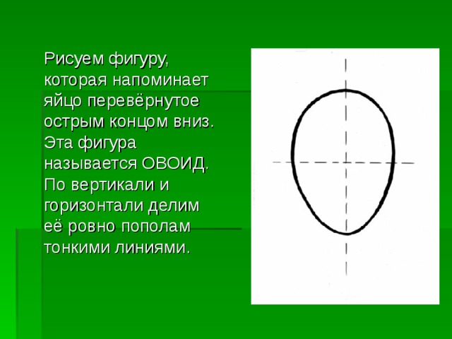  Рисуем фигуру, которая напоминает яйцо перевёрнутое острым концом вниз. Эта фигура называется ОВОИД.  По вертикали и горизонтали делим её ровно пополам тонкими линиями.    