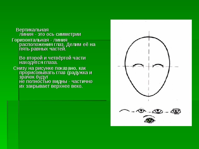  Вертикальная  линия - это ось симметрии Горизонтальная - линия расположения глаз. Делим её на пять равных частей.   Во второй и четвёртой части находятся глаза.  Снизу на рисунке показано, как прорисовывать глаз (радужка и зрачок будут  не полностью видны - частично их закрывает верхнее веко. 