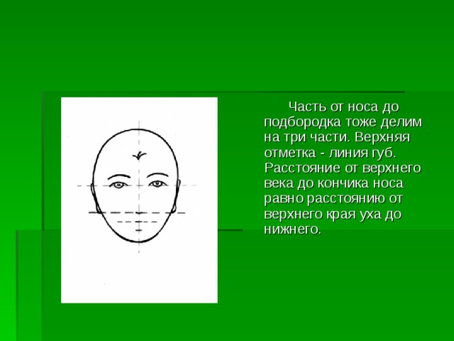  Часть от носа до подбородка тоже делим на три части. Верхняя отметка - линия губ.  Расстояние от верхнего века до кончика носа равно расстоянию от верхнего края уха до нижнего.      