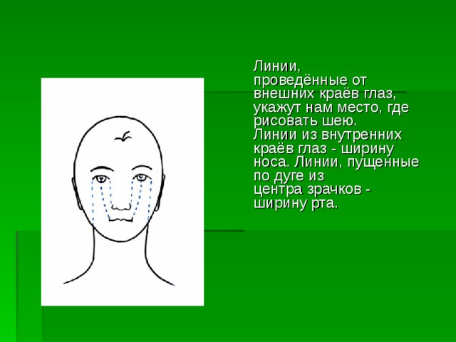   Линии,  проведённые от внешних краёв глаз, укажут нам место, где рисовать шею.  Линии из внутренних краёв глаз - ширину носа. Линии, пущенные по дуге из  центра зрачков - ширину рта.     