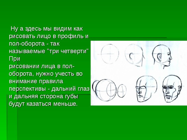  Ну а здесь мы видим как рисовать лицо в профиль и пол-оборота - так называемые 