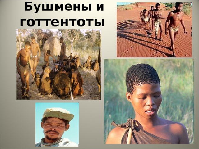  Бушмены и   готтентоты  
