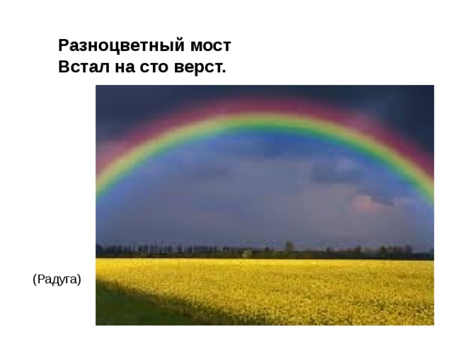 Разноцветный мост  Встал на сто верст. (Радуга) 