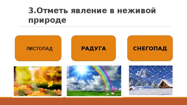 3.Отметь явление в неживой природе  ЛИСТОПАД РАДУГА СНЕГОПАД 