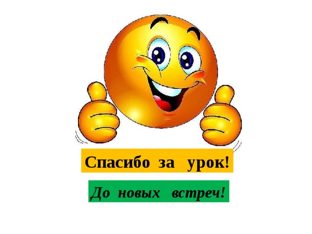 Спасибо за урок! До новых встреч! 