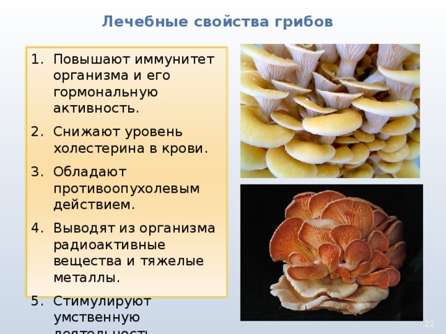 Лечебные свойства грибов Повышают иммунитет организма и его гормональную активность. Снижают уровень холестерина в крови. Обладают противоопухолев ым действием . Выводят из организма радиоактивные вещества и тяжелые металлы. Стимулируют умственную деятельность. 17 22 