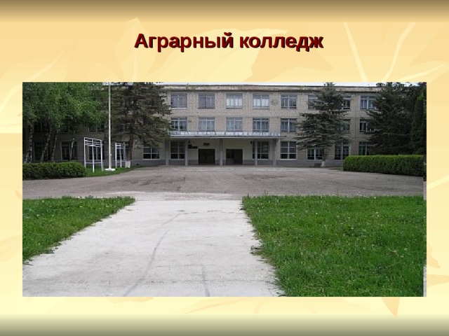     Аграрный колледж 