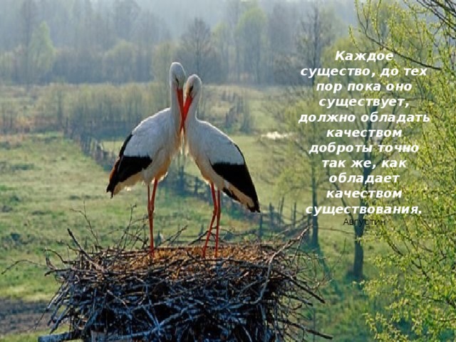 Каждое существо, до тех пор пока оно существует, должно обладать качеством доброты точно так же, как обладает качеством существования.  Августин 