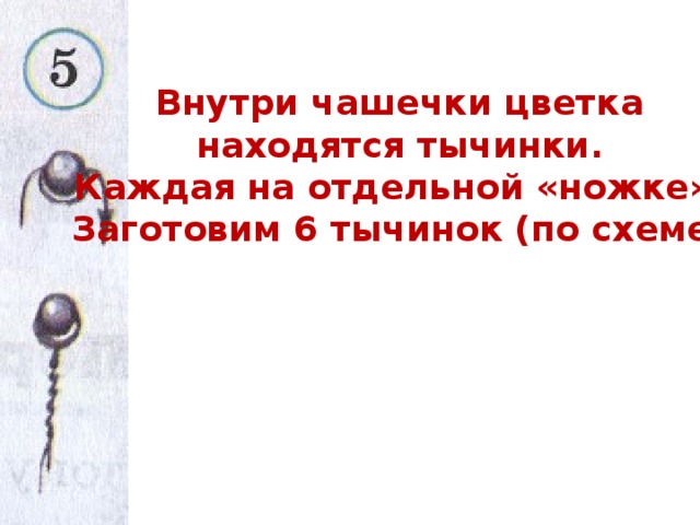 Внутри чашечки цветка находятся тычинки. Каждая на отдельной «ножке». Заготовим 6 тычинок (по схеме).  