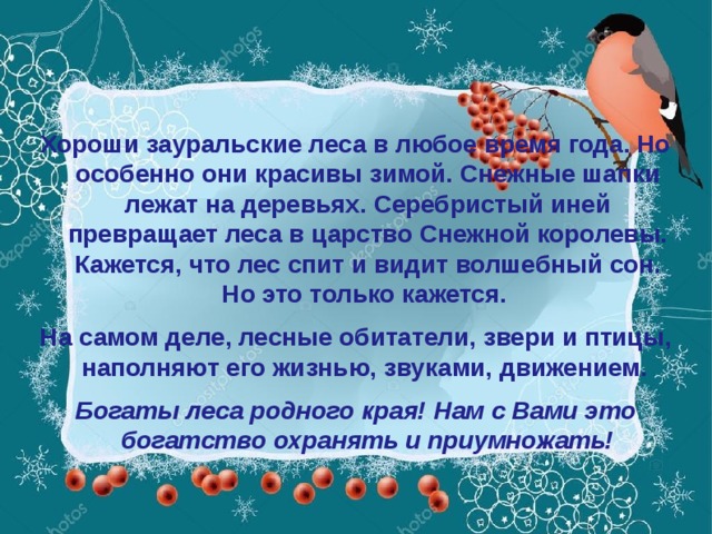 Хороши зауральские леса в любое время года. Но особенно они красивы зимой. Снежные шапки лежат на деревьях. Серебристый иней превращает леса в царство Снежной королевы. Кажется, что лес спит и видит волшебный сон. Но это только кажется. На самом деле, лесные обитатели, звери и птицы, наполняют его жизнью, звуками, движением. Богаты леса родного края! Нам с Вами это богатство охранять и приумножать!