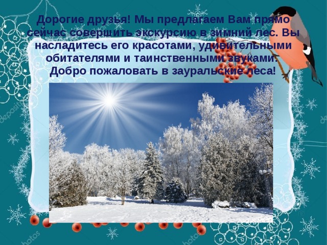 Дорогие друзья! Мы предлагаем Вам прямо сейчас совершить экскурсию в зимний лес. Вы насладитесь его красотами, удивительными обитателями и таинственными звуками.  Добро пожаловать в зауральские леса!