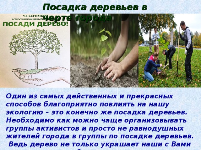 Посадка деревьев в черте города Один из самых действенных и прекрасных способов благоприятно повлиять на нашу экологию – это конечно же посадка деревьев. Необходимо как можно чаще организовывать группы активистов и просто не равнодушных жителей города в группы по посадке деревьев. Ведь дерево не только украшает наши с Вами улицы , но и вырабатывает кислород , уменьшает долю углекислого газа - даря нам всем чистый воздух. 