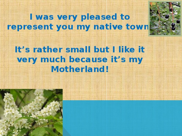 I was very pleased to represent you my native town. It’s rather small but I like it very much because it’s my Motherland! 