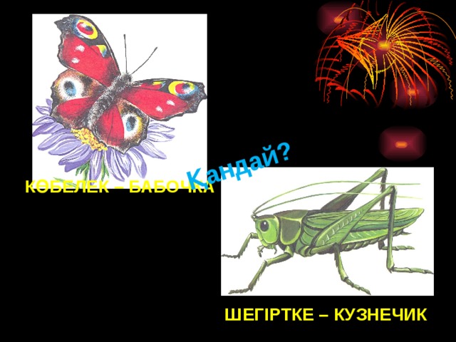 Қандай? КӨБЕЛЕК – БАБОЧКА ШЕГІРТКЕ – КУЗНЕЧИК 