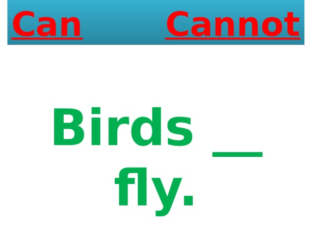 Can  Cannot Birds __ fly. 