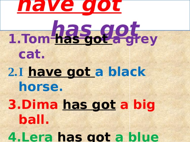 have got  has got Tom has got a grey cat. I  have got a black horse. Dima has got a big ball. Lera has got a blue dress. Dima and Lera have got a bike. We have got a small plane. 
