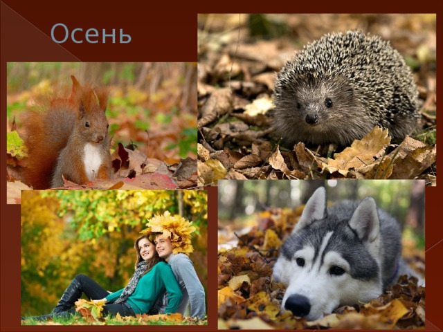 Осень 