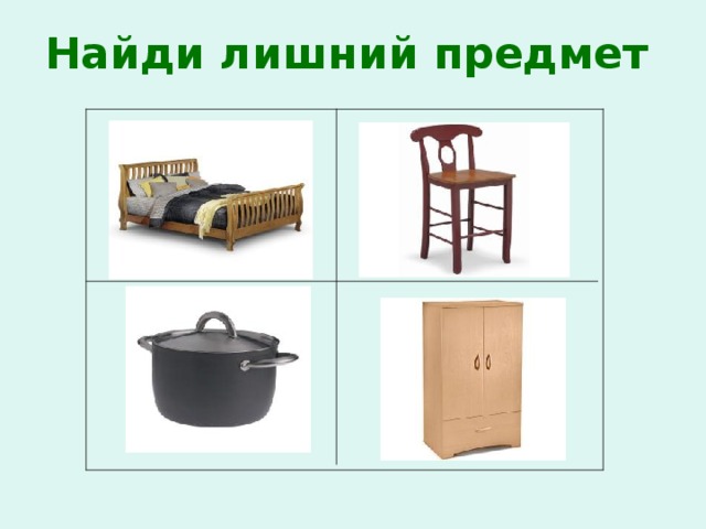 Найди лишний предмет 