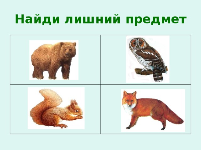 Найди лишний предмет 