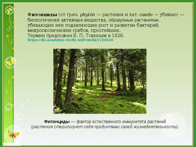  Фитонциды (от греч. phytón — растение и лат. caedo — убиваю) — биологически активные вещества, образуемые растениями, убивающие или подавляющие рост и развитие бактерий, микроскопических грибов, простейших. Термин предложен Б. П. Токиным в 1928. https :// dic.academic.ru / dic.nsf / ruwiki /1166546   Фитонциды — фактор естественного иммунитета растений (растения стерилизуют себя продуктами своей жизнедеятельности) . 