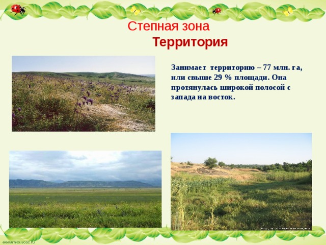    Степная зона   Территория Занимает территорию – 77 млн. га, или свыше 29 % площади. Она протянулась широкой полосой с запада на восток.    